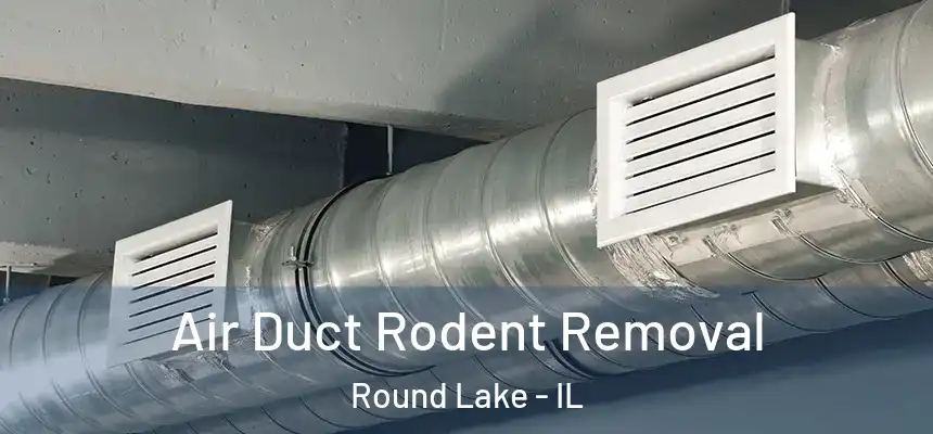  Air Duct Rodent Removal Round Lake - IL