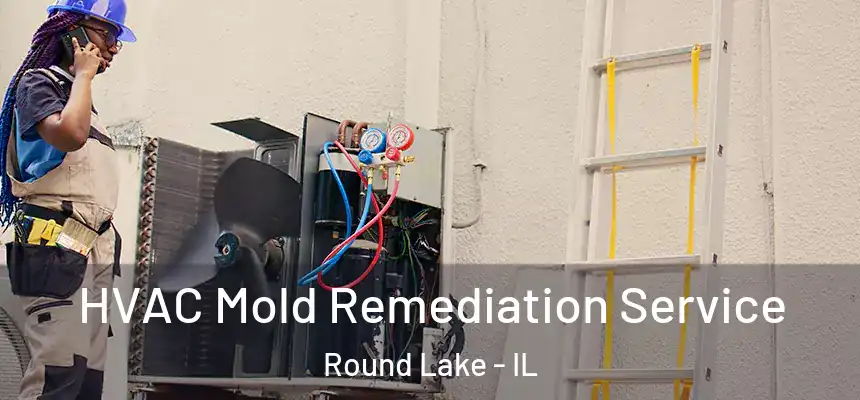  HVAC Mold Remediation Service Round Lake - IL