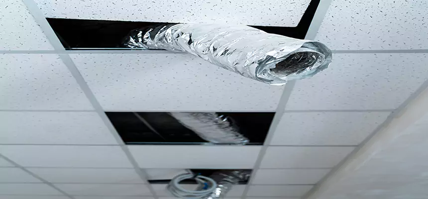 Affordable HVAC Sanitizing After Pest Removal in Round Lake