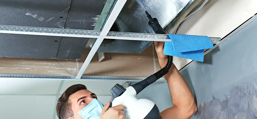 Our Air Duct Rodent Removal Services in Round Lake, IL