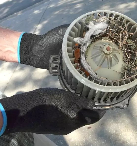 About Air Duct Mice Removal in Round Lake, IL