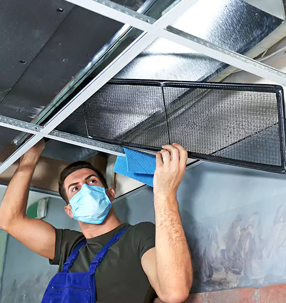 Professional Air Duct Pollen Cleaning in Round Lake, IL
