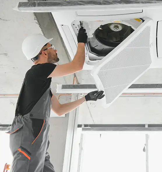 About Air Duct Rodent Removal in Round Lake, IL