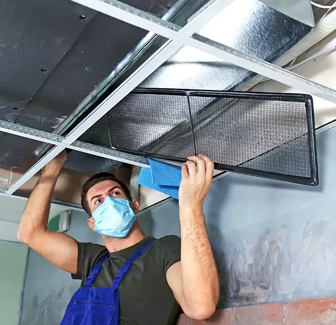 Why Homeowners Businesses Trust Us in Round Lake, IL